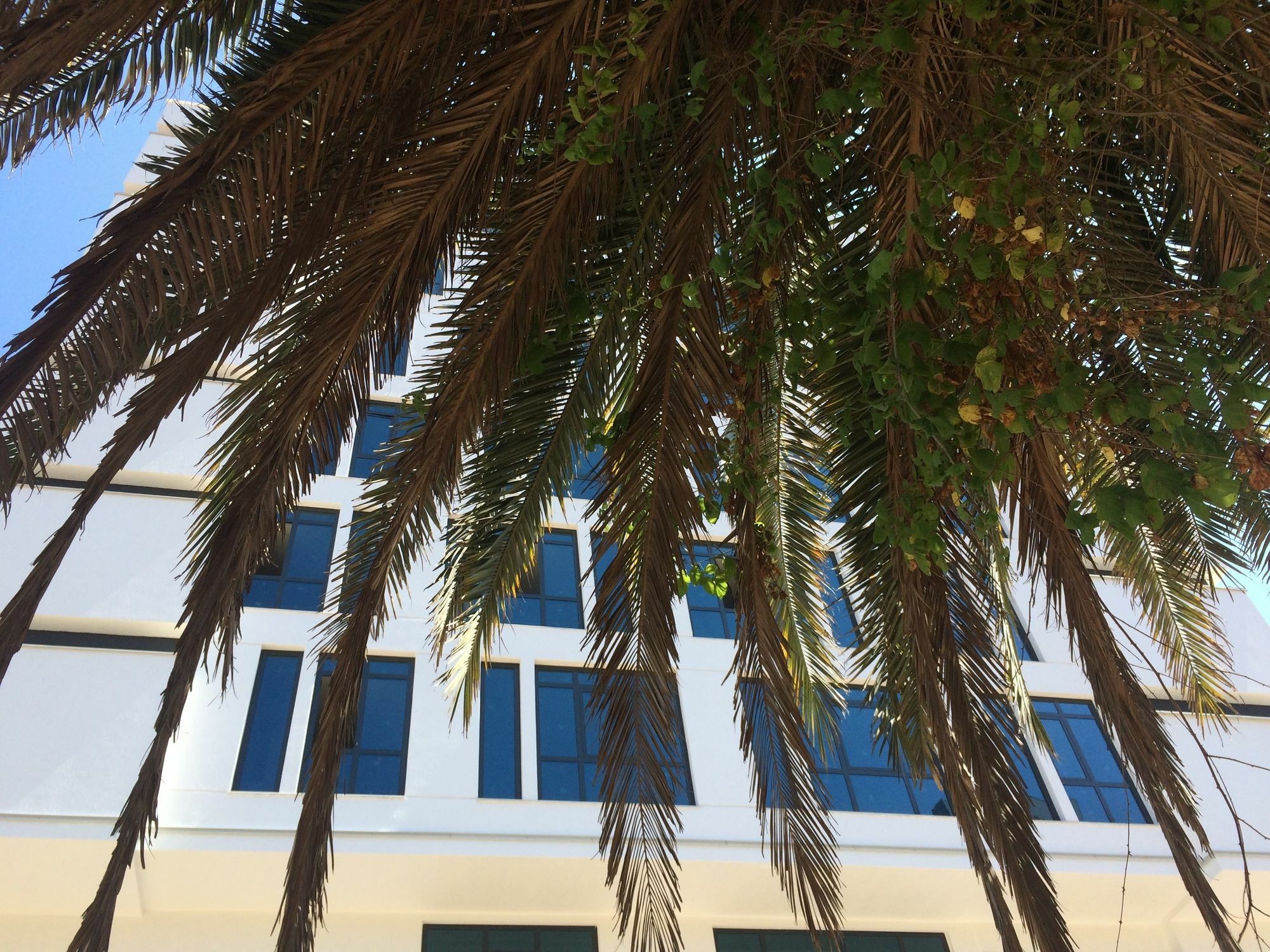Aselia Hotel Τραμπζόν Εξωτερικό φωτογραφία
